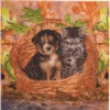 Crystal Art Best Friends Diamond Painting